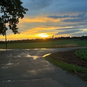 Meet your Posher, Lucy